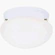 Westinghouse Light A 66611 Ceiling Fixture