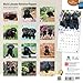 Black Labrador Retriever Puppies 2015 Calendar