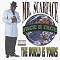 Ego Trip's Top 25 Hip Hop Albums---1993