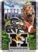 University of Missouri Tigers Blanket Throw Tapestry