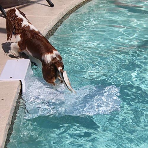 Paws Aboard Pool Pup - Dog Pool Stairs - One Size
