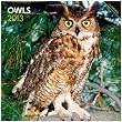 Owls 2013 Square 12X12 Wall Calendar