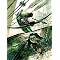 Green Arrow - Graphic Novel Collection