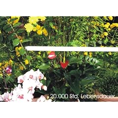 18W Lumoflor Pflanzenlicht Leuchtstofflampe T8, L�nge: 590mm