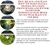 The Special Make An Extra Income, Marketing and Inner Game for Personalized Beer Mugs...