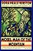 Books : Moses, Man of the Mountain