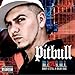 Pitbull-Money Is Still A Major Issue