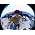 Thumbnail image of Beastie Boys