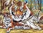 Paint by Numbers Paint Set - Tigers