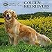 American Kennel Club Golden Retrievers 2017 Wall Calendar