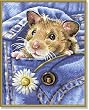 Schipper 924 0436 - Malen nach Zahlen Mucki, der blinde Passagier f�r Kids, 24x30 cm