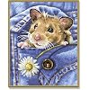 Schipper 924 0436 - Malen nach Zahlen Mucki, der blinde Passagier f�r Kids, 24x30 cm
