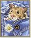 Schipper 924 0436 - Malen nach Zahlen Mucki, der blinde Passagier für Kids, 24x30 cm