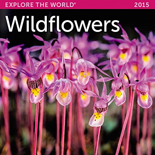 2015 Wildflowers Mini Wall Calendar Ziga Media, LLC