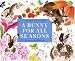 A Bunny for All Seasons
