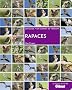 Rapaces