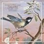 Johann Gottlieb Graun: Concertos