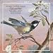 Johann Gottlieb Graun: Concertos