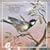 Johann Gottlieb Graun: Concertos