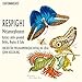 Metamorphoseon