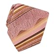 Roberto Cavalli Pink & Tan Reptile Bands Woven Silk Tie