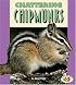 Chattering Chipmunks (Pull Ahead Books)