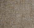 Sand Piper 5 Yard Whole Bolt Fabric