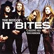 Calling All The Heroes: The Best Of It Bites