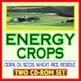 21st Century Guide to Energy Crops and Biofuels, Agricultural Residue, Corn and Wheat Stover, Rice Straw, Oil Seeds, Switchgrass, Feedstocks, Sugars, Biorefineries, Ethanol, Syngas (Two CD-ROM Set)