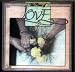 Search : The Power of Love