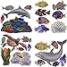 Tropical Fish Sea Turtle, Dolphin, Seahorse, and Coral Wall Decals