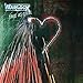 Warlock, True As Steel [12 inch Analog], 発売中