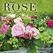 Books : The Essential Rose 2012 Wall Calendar