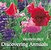 Book Discovering Annuals