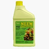 Neem Concentrate - Pint