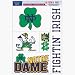 Notre Dame Fighting Irish 11