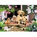 Jumbo Puzzle - Gathering on the Veranda (500 pieces)