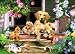 Jumbo Puzzle - Gathering on the Veranda (500 pieces)