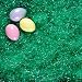 Eggs in Grass Scrapbook Paper