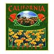 California Poppies Coverlet