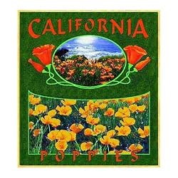 California Poppies Coverlet