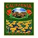 California Poppies Coverlet