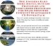 The Guru's How To Earn Extra Money, Marketing and Inner Game for Stair Steppers Web Biz 3 CD Course