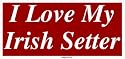 I Love My Irish Setter Large Bumper Sticker