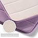 DocBear Bathroom Rug,Memory Foam Bath Mat,The Best Rugs for Bathroom,Soft Absorbent Bath Rug Non Slip Bathroom Mat,Coral Velvet Bathroom Rugs(Purple,Size:W17