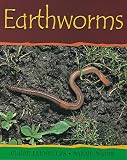 Earthworms (Minibeasts S.)