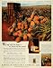 1927 Ad Hawaiian Pineapple Company Growers Canners Dole - Original Print Ad