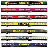 Personalized Pet Collar - Small, Medium or Large - You Design it!