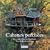 Cabanes perch�es