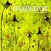 Book Dandelion: Celebrating the Magical Blossom